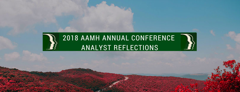 2018 CONFERENCE ANALYST REFLECTIONS